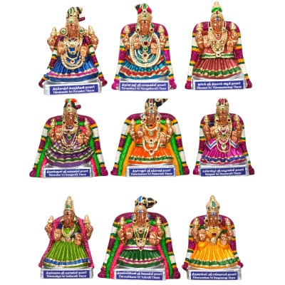 Nava Shri Thayar 9.5"